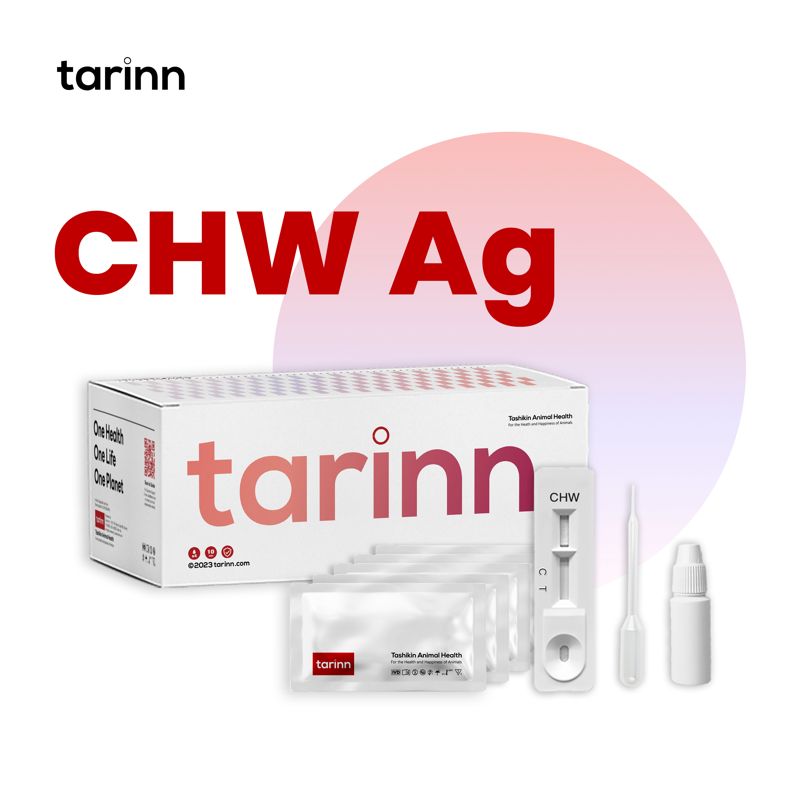 Kit di Test Antigene CHW